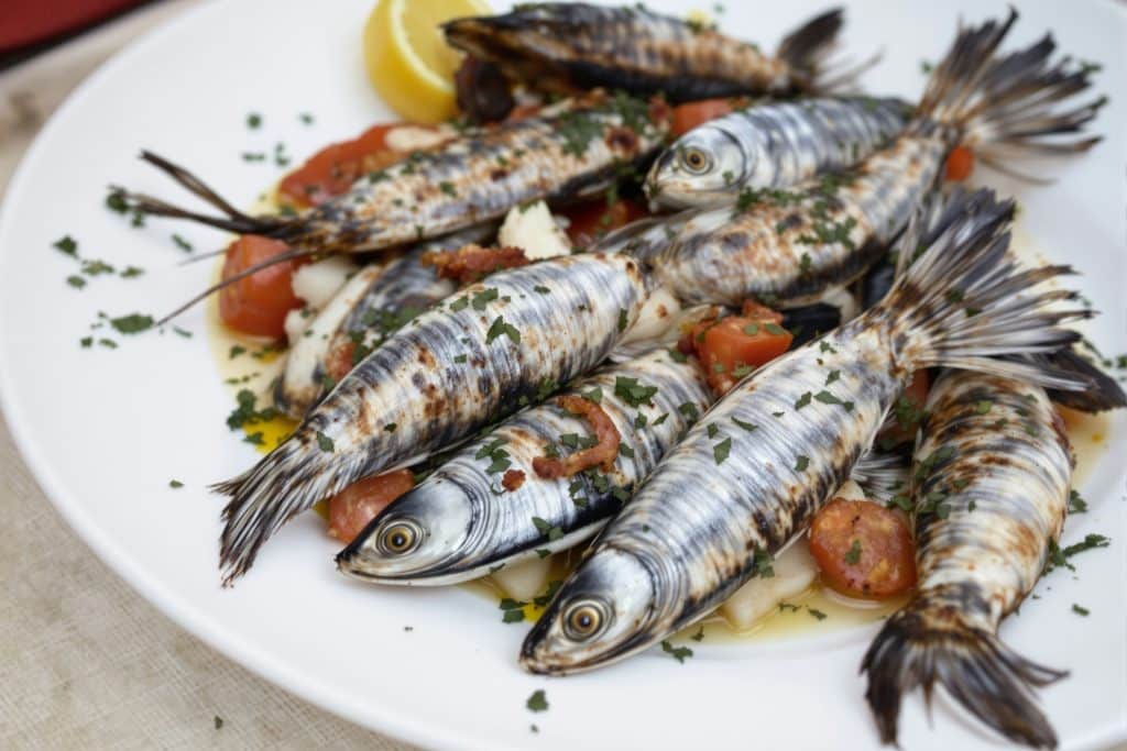 Calamars à la plancha